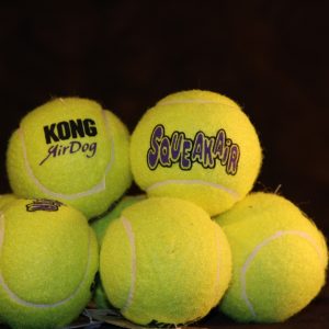 Squeaky Tennis Ball (M)-0