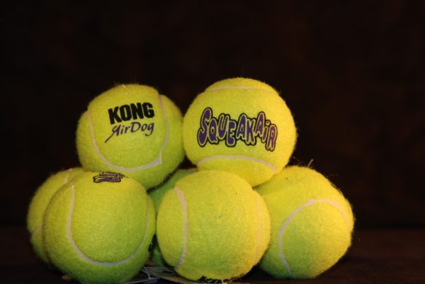 Squeaky Tennis Ball (M)-0