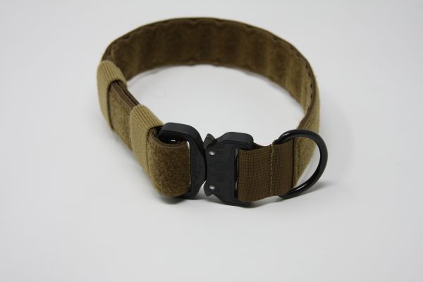 2'' Mil-Spec Nylon Id Collar w/ metal buckle-810