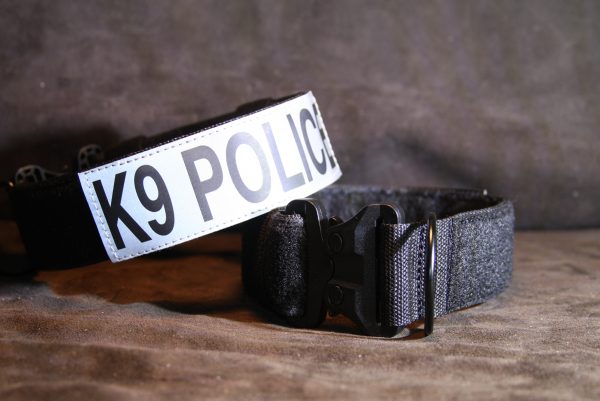 2'' Black Nylon Id Collar w/plastic buckle-768