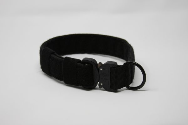 2'' Black Nylon Id Collar w/metal buckle-0